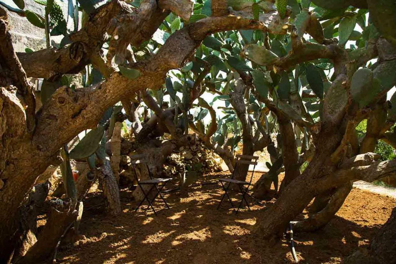 Masseria Celano * Grottaglie