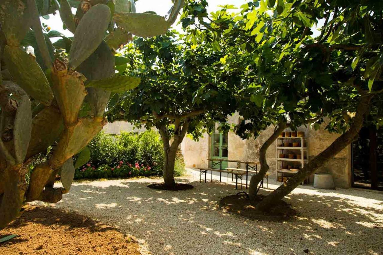 Masseria Celano Farm stay *